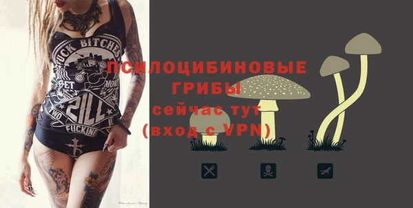 скорость Новозыбков