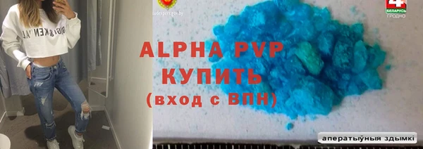 скорость Новозыбков
