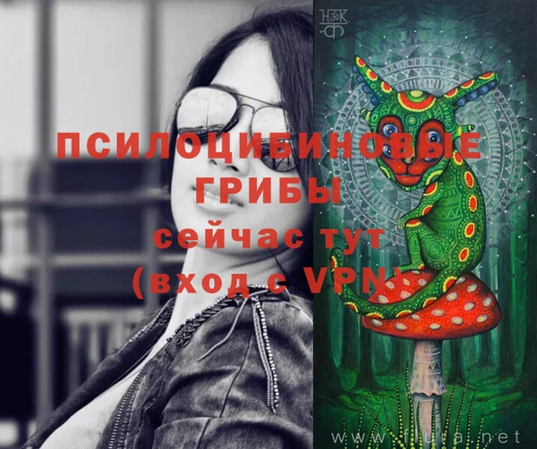 скорость Новозыбков